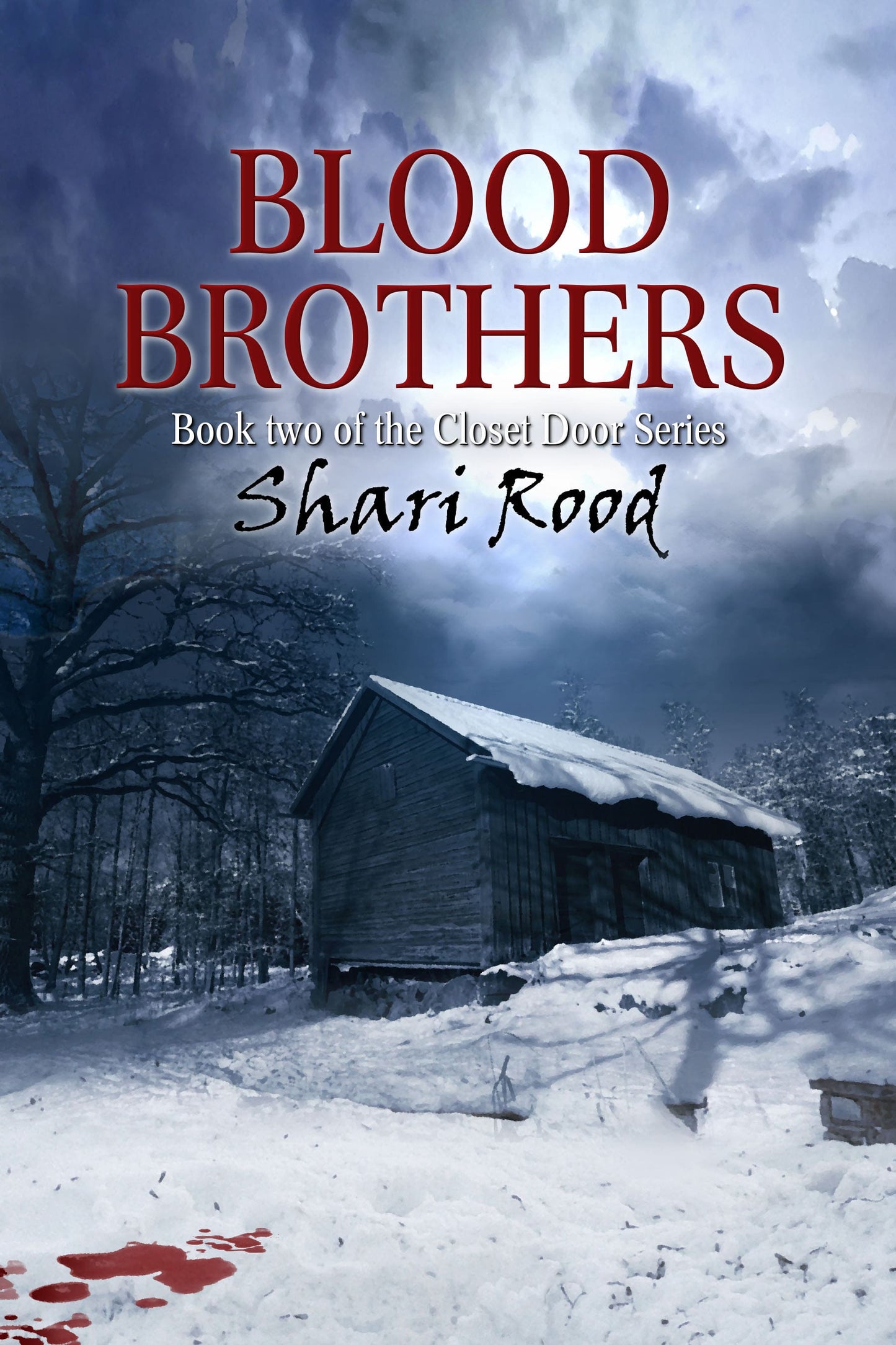 Blood Brothers (The Closet Door Series Book 2)