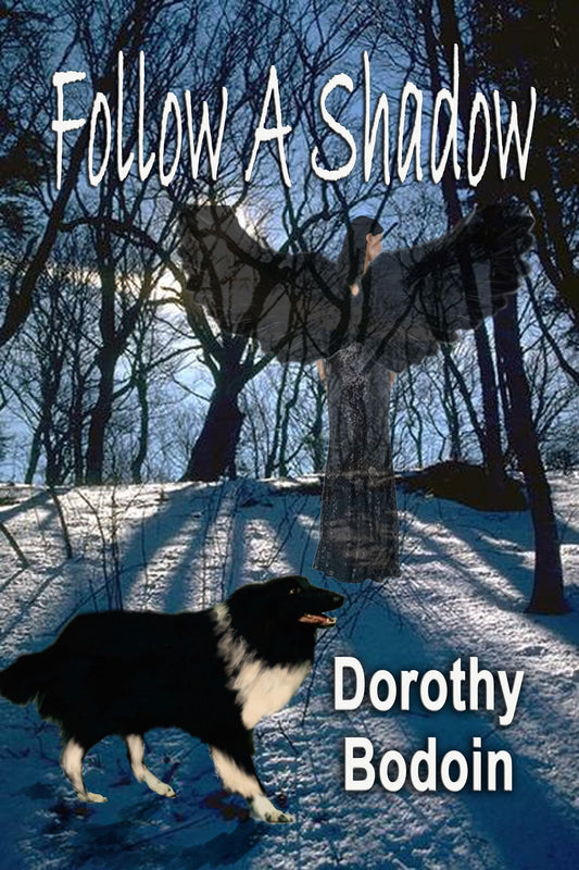 Follow a Shadow (The Foxglove Corners Series Book 14)