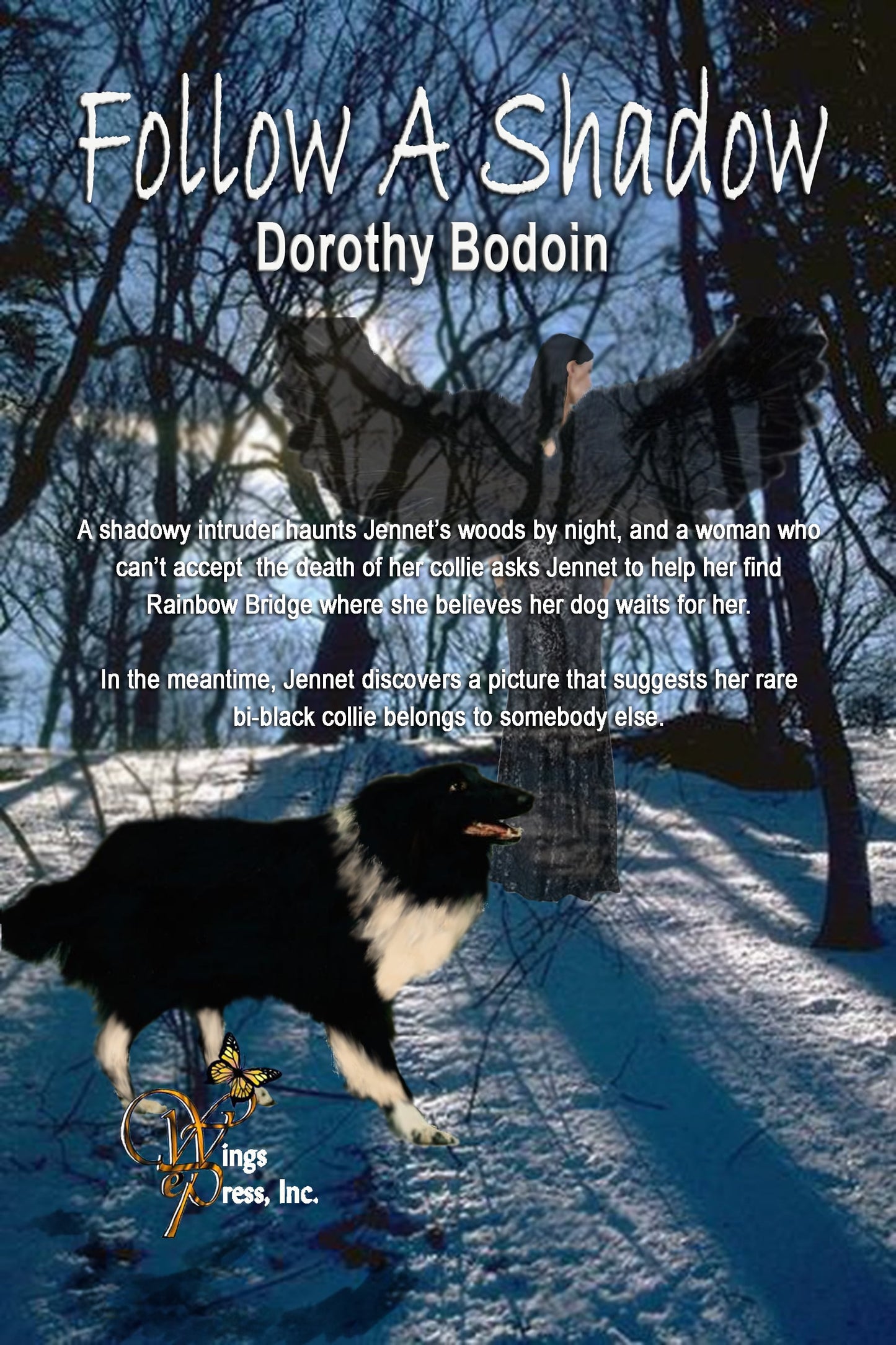 Follow a Shadow (The Foxglove Corners Series Book 14)