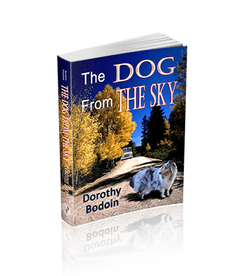 The Dog From The Sky (The Foxglove Corners Series Book 9)